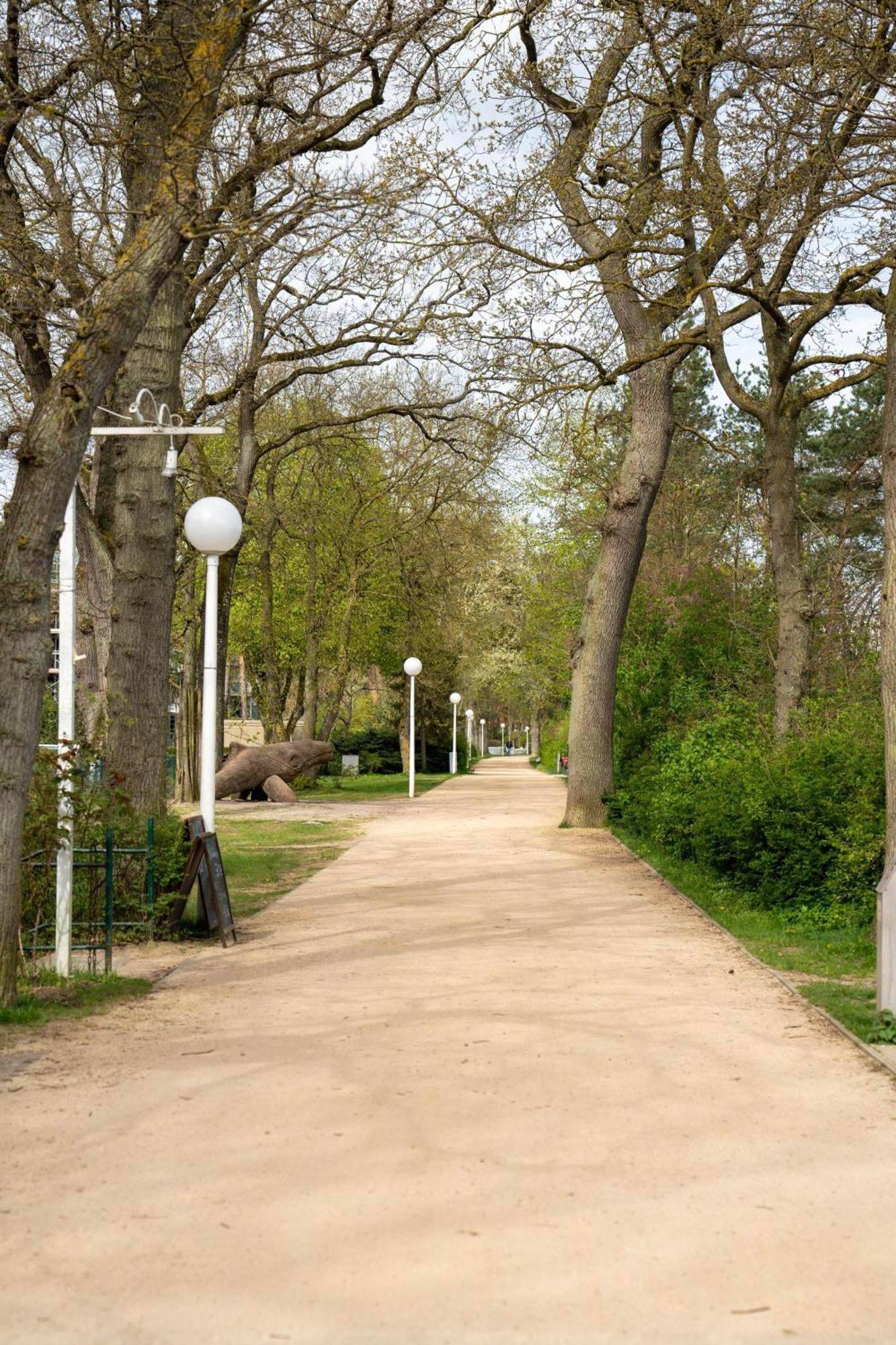 Strandvilla Drei Maederl Haus Boltenhagen  Dış mekan fotoğraf